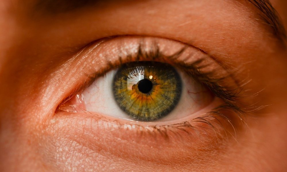 Oczy to jednostkowy narząd. To właśnie dzięki nim widzimy.